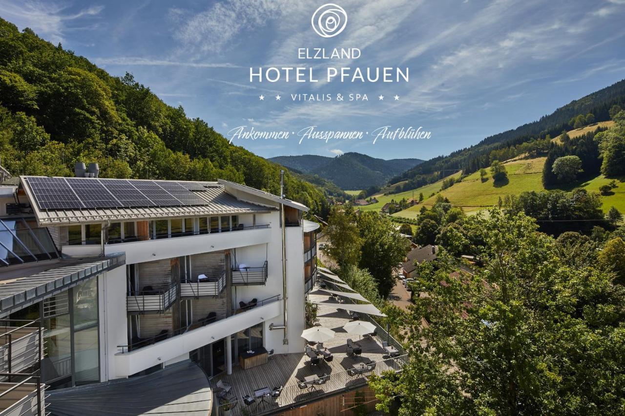 Elzland Hotel Pfauen Wellness & Spa Elzach Exterior photo